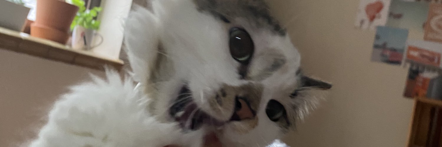 abbyschembra's profile banner image