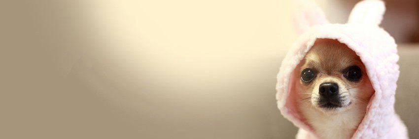 officialbada's profile banner image