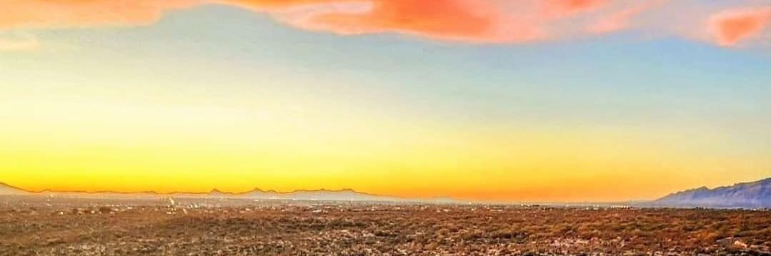 axlarson's profile banner image