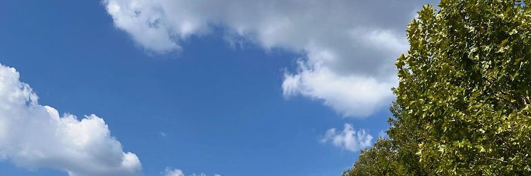 cha (ᓀ‸ᓂ) banner