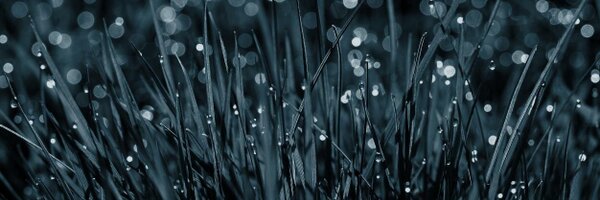 RenseBeerepoot Profile Banner