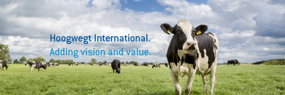 Hoogwegt Int. banner