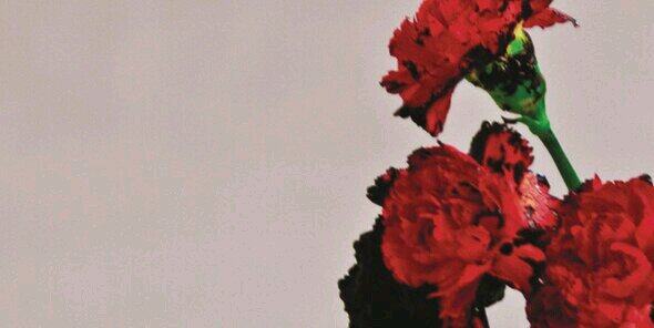 RAW_LOVE_88's profile banner image