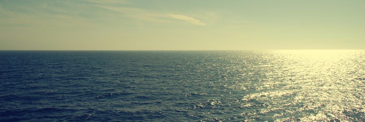 Twitter banner for @trawler