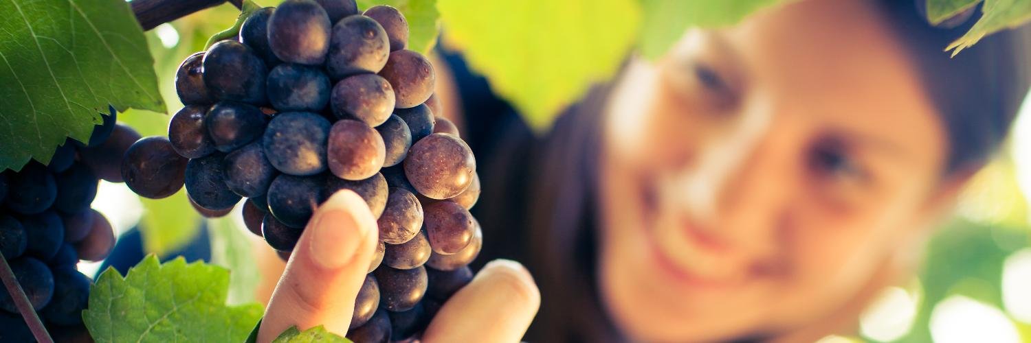 SmartVineyard banner