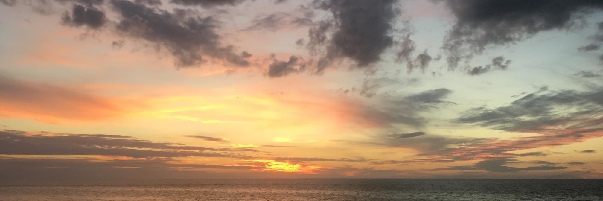 MusicRick's profile banner image