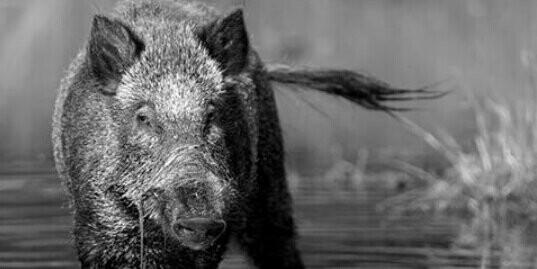 moran_99's profile banner image
