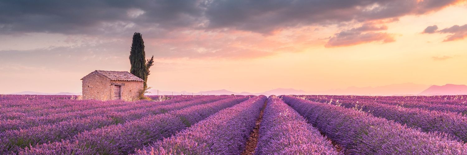 Claudio Mariani banner