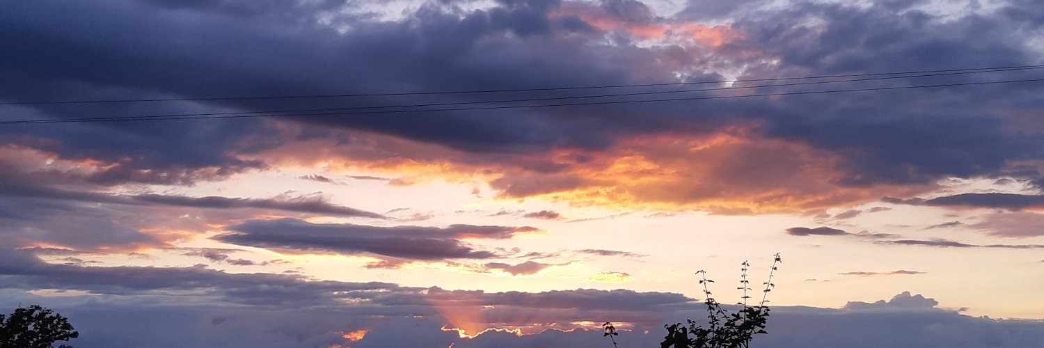 tendancemix's profile banner image