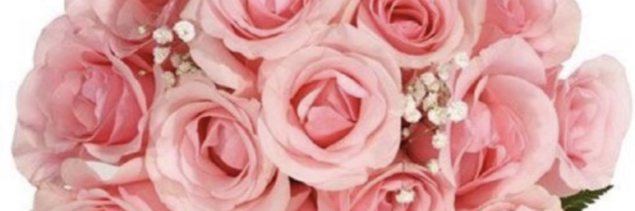 amory_1515's profile banner image