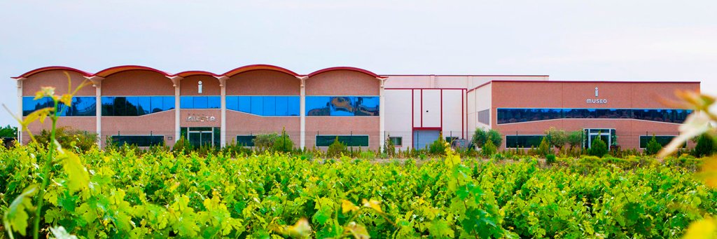 Bodega Andrés Iniesta banner