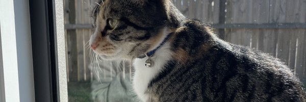 miss_erk_ Profile Banner