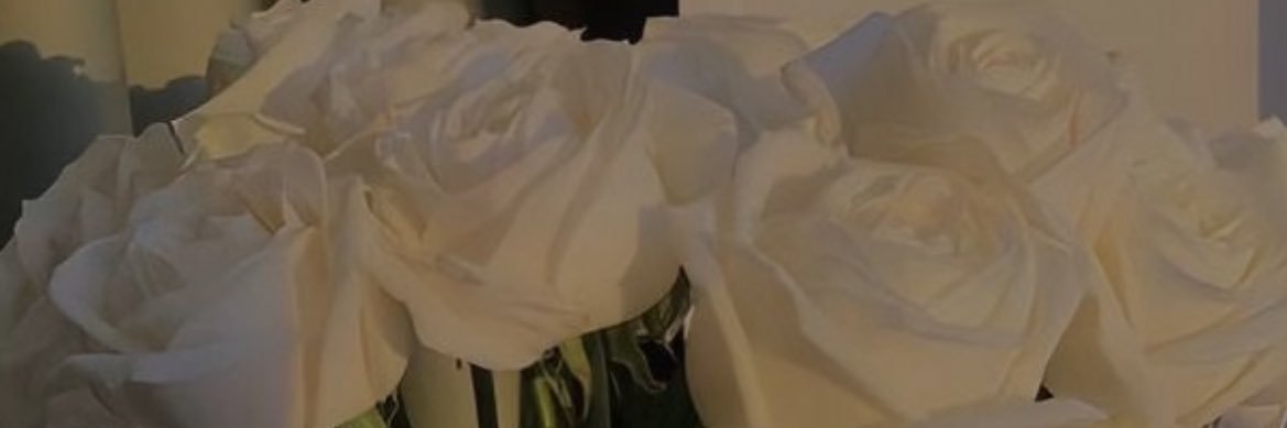 LisaCormont's profile banner image