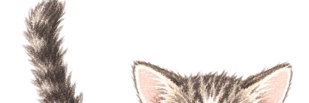 n0name_774_'s profile banner image