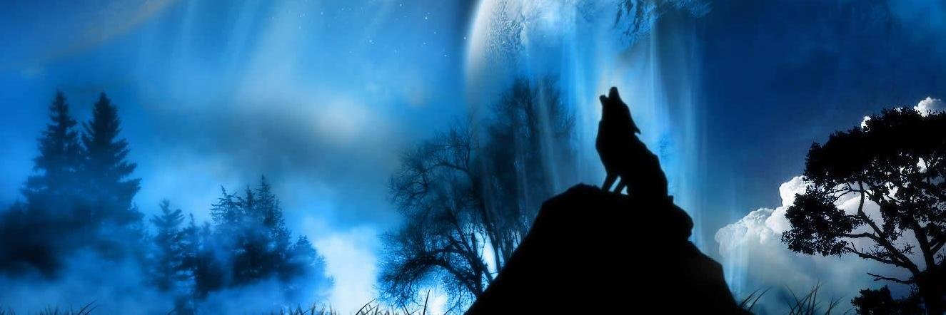 alvein___'s profile banner image