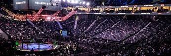 President Degenerate MMA banner