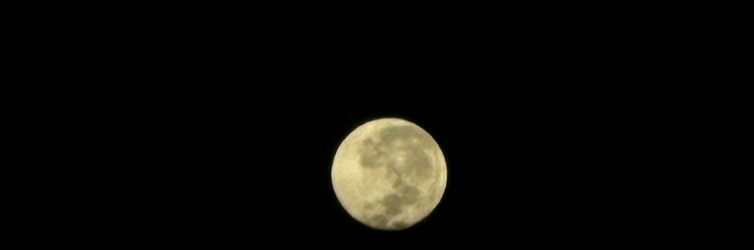 fleur_de_lis81's profile banner image