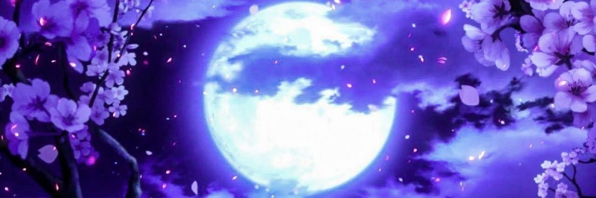 n_cheerry's profile banner image