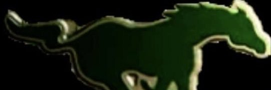 dr_rich_gray's profile banner image