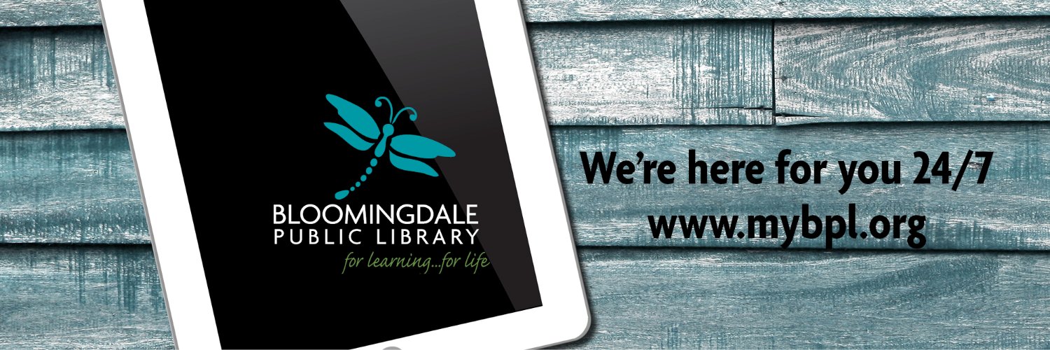 Bloomingdale Public Library banner