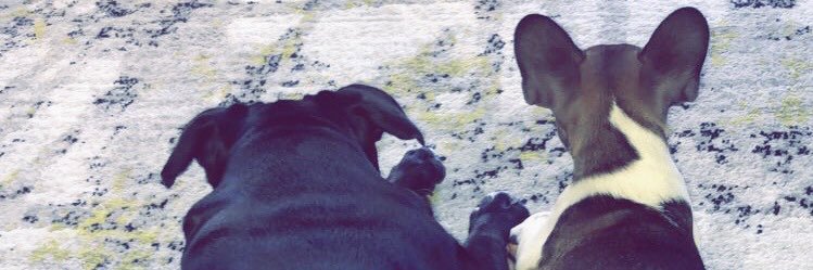 cletus1114's profile banner image