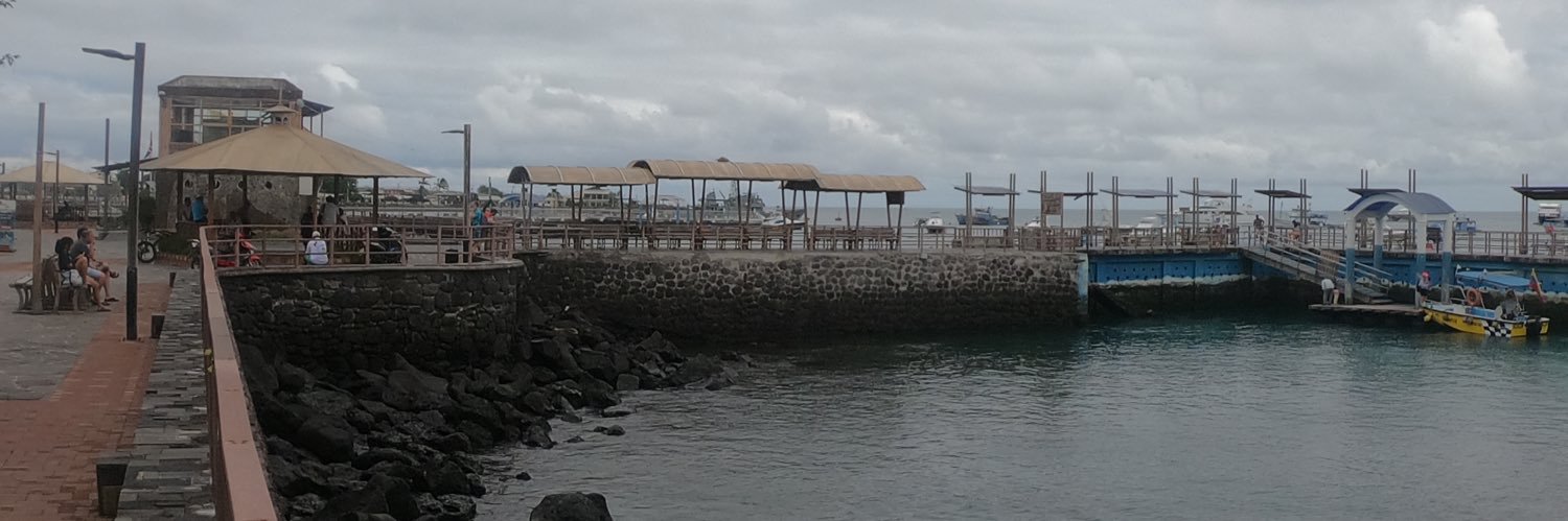 Erich Picon Silva banner