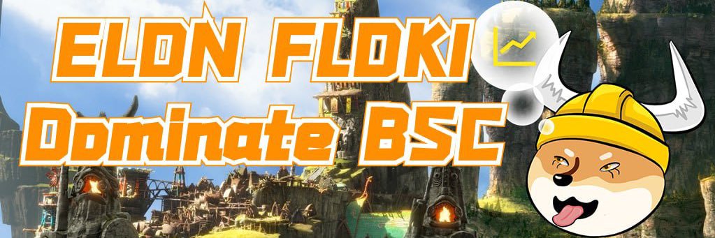 ElonFlokiInu banner