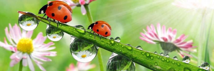 la_lectora's profile banner image