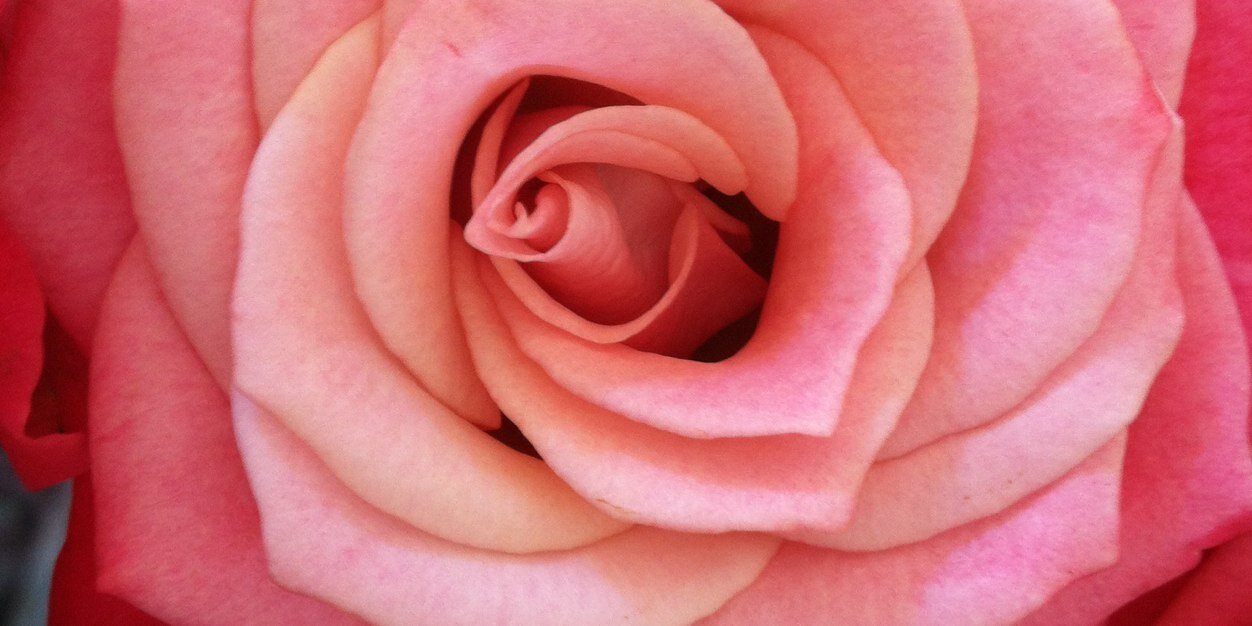 estriner's profile banner image