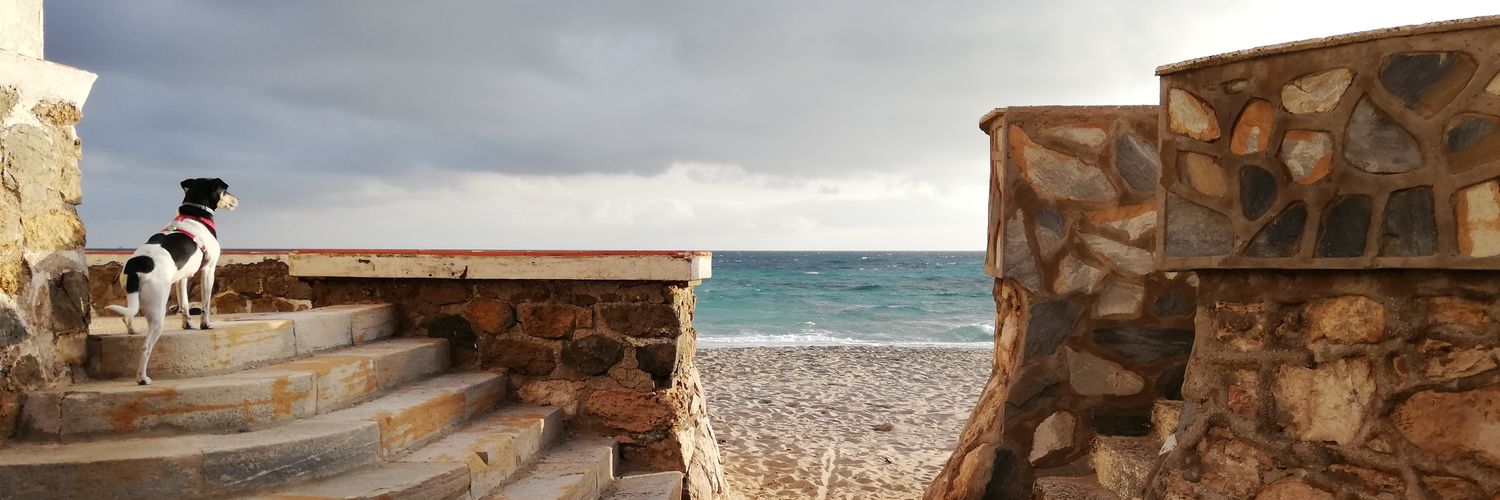 Angela de Lara banner