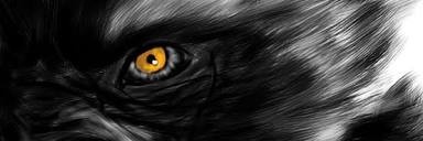 adefe73's profile banner image