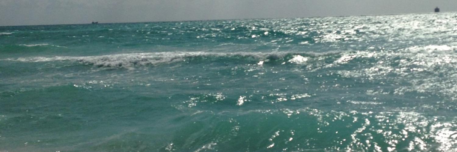 XavierPinteno's profile banner image