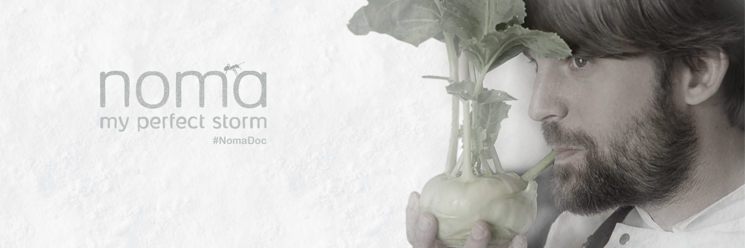 NomaDoc's profile banner image