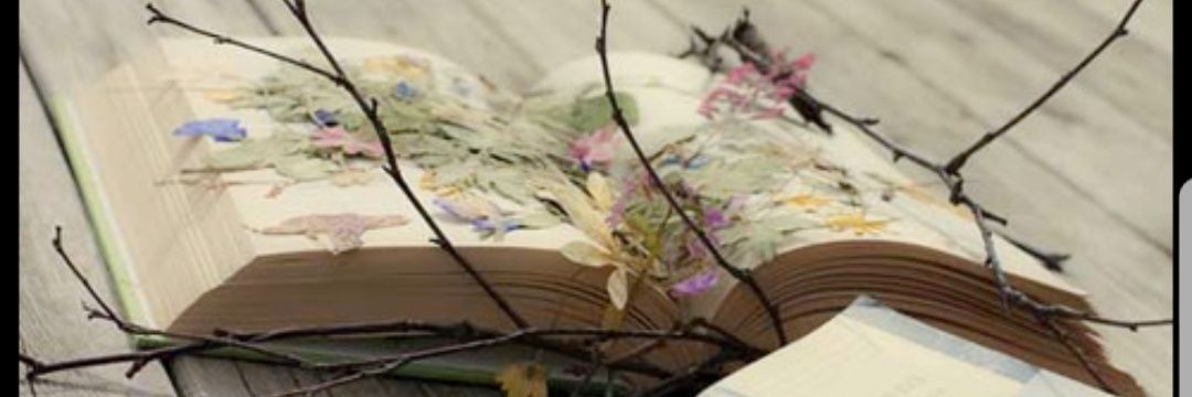 أم برهوم 🏹 banner