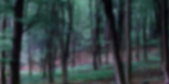 OnTheTrainProds's profile banner image