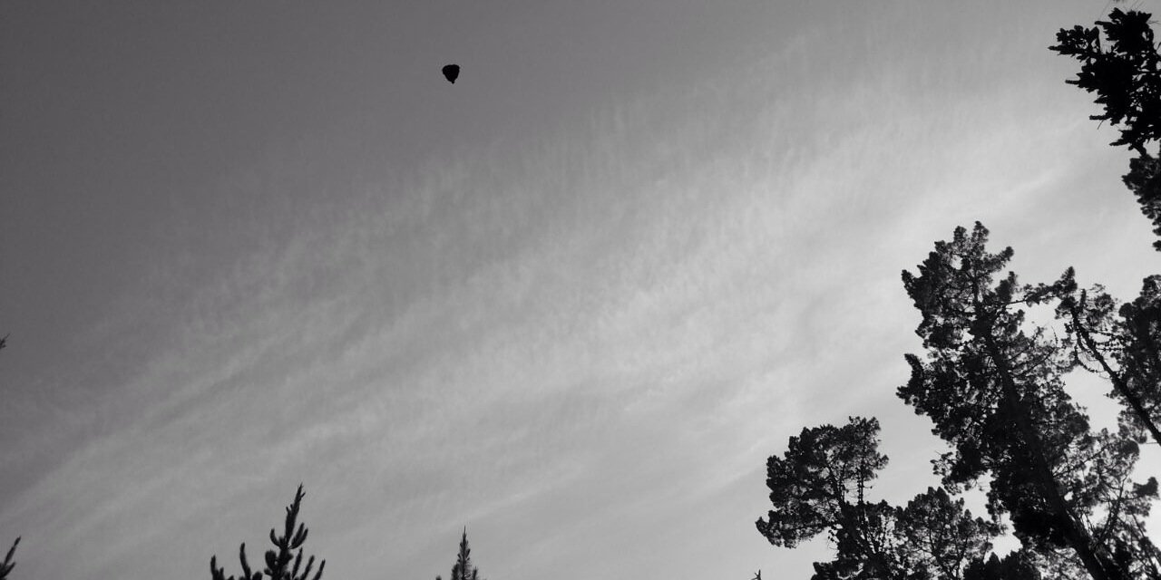 vnbr_'s profile banner image