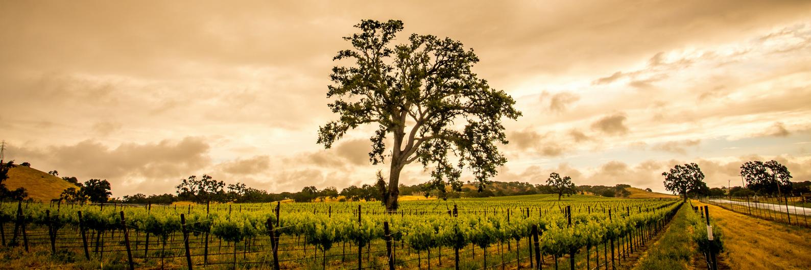MerrillRE's profile banner image