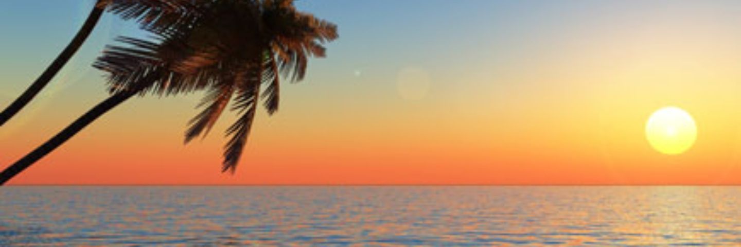 Shimon_dan's profile banner image