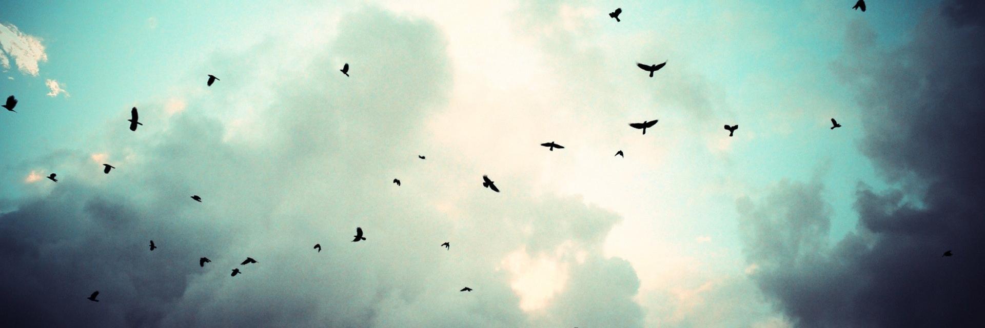 ucanimsibalon's profile banner image