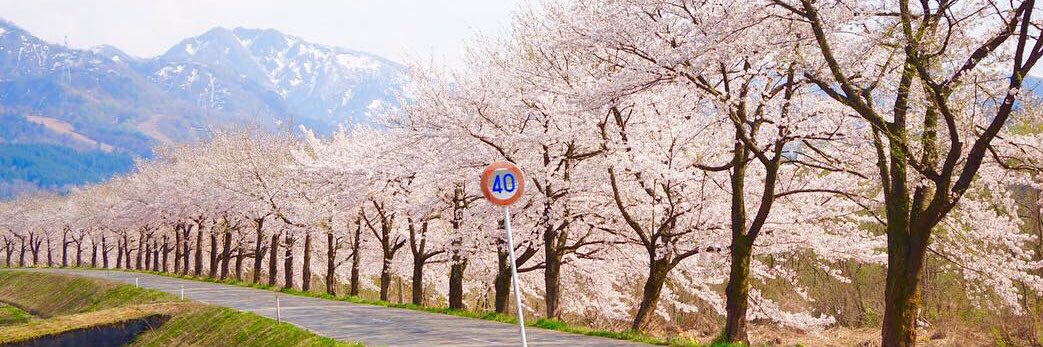kao_129's profile banner image