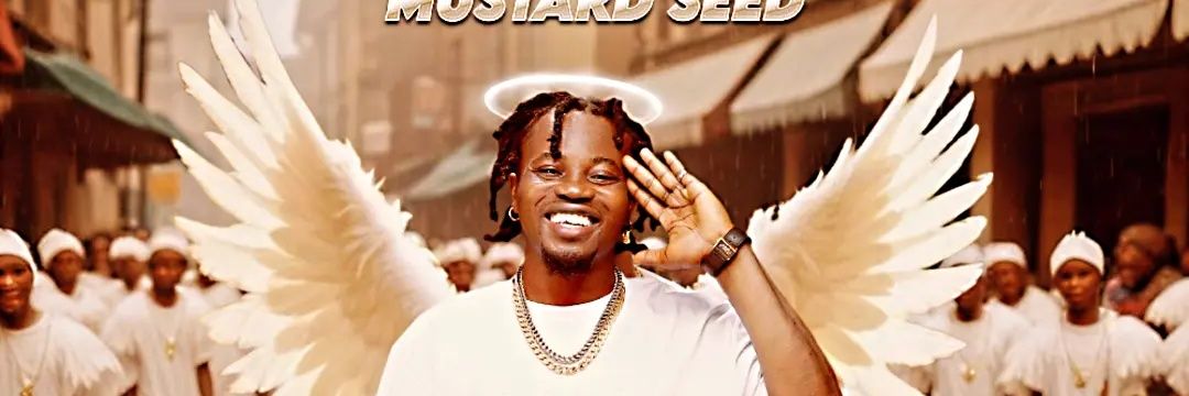 mustardseedaba's profile banner image