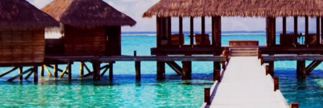 elle_paras's profile banner image