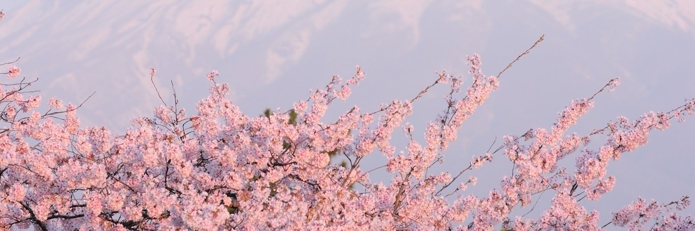 EstherMaeve's profile banner image
