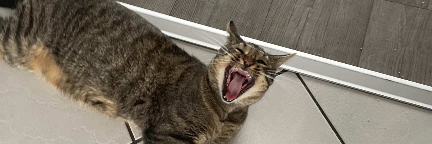 Lo_onis's profile banner image
