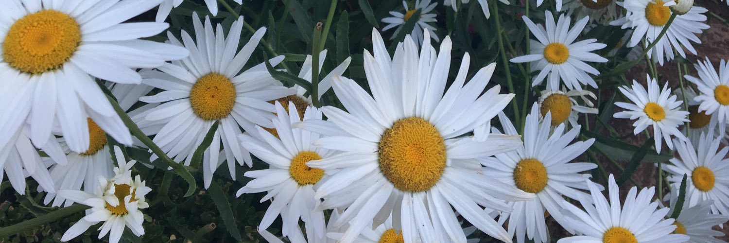 anvn's profile banner image
