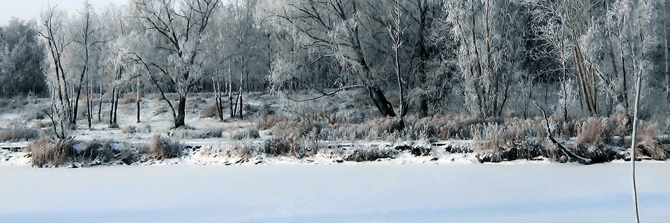 prawdom's profile banner image