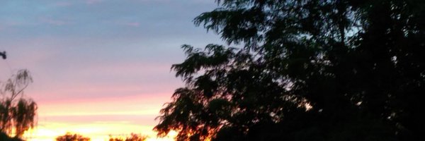 leftielindsay Profile Banner