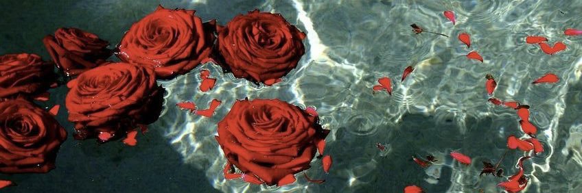 Rosepmy's profile banner image
