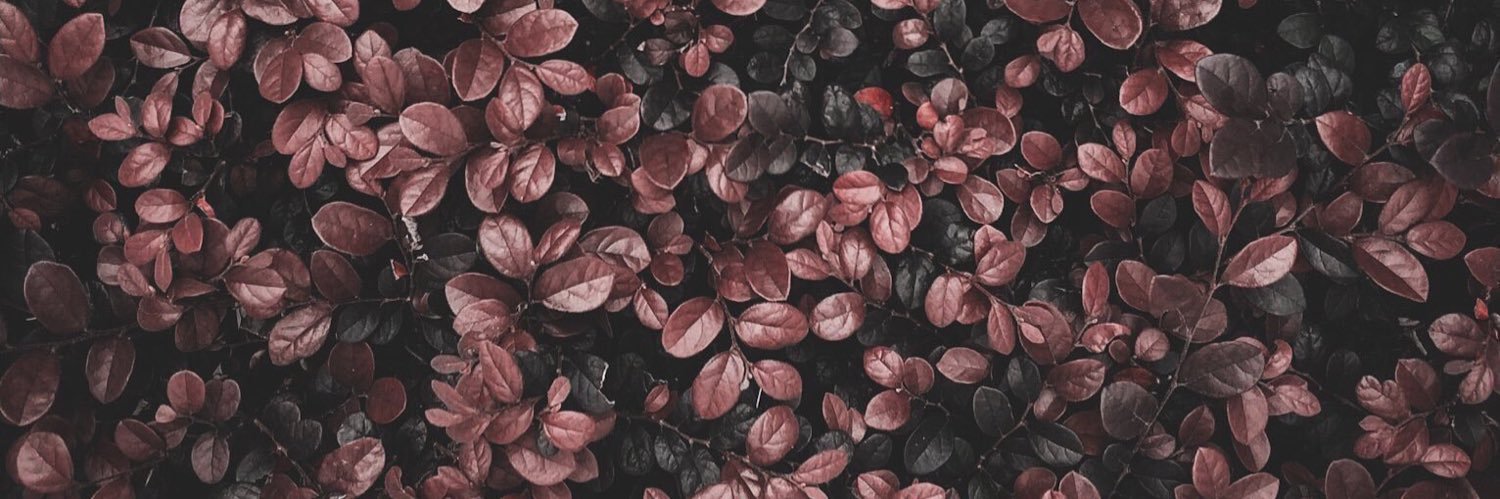 Qishhhh's profile banner image
