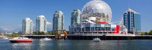 Renaissance Man banner